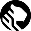 TigerData logo